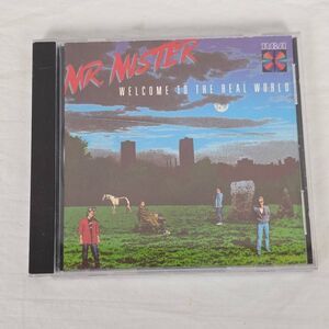 Mr Mister Welcome Real World CD